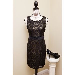 NWOT black lace and gold bodycon dress